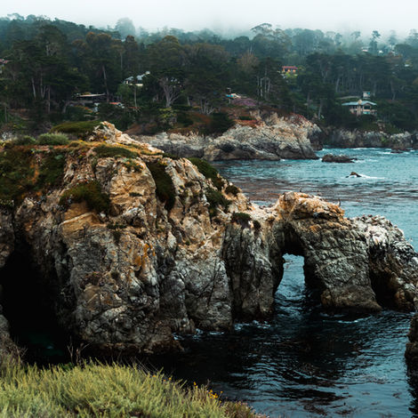 Pacific Grove & Point Lobos