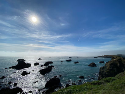 Sonoma County: More Than Just Wine