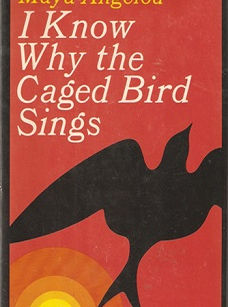 Let's Talk About Banned Books, Baby