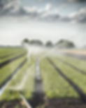AdobeStock_86772435.jpeg
