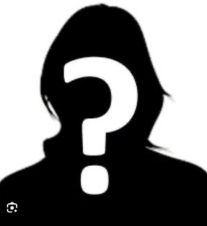 mystery stylist.jpg