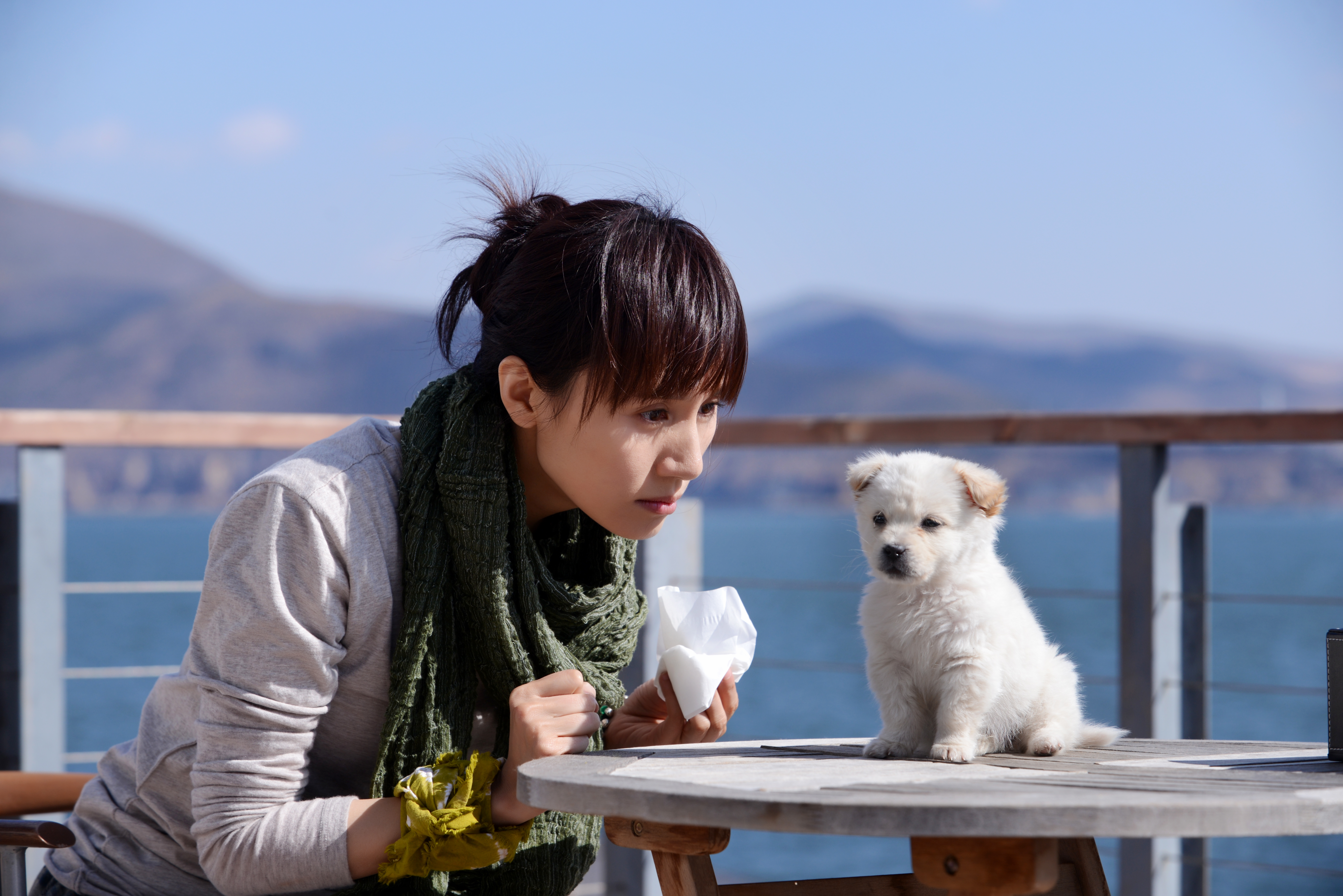 лучшие друзья 2014. китайская комедия про двух мальчиков. Confession дорама 2014. @1joeun. лучшие друзья 2014.