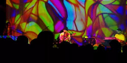 Animal Collective