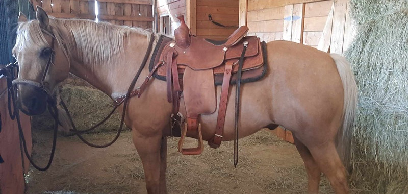 Nana time at 7am when others asleep