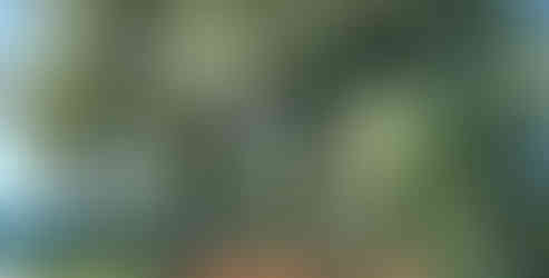 Beastie and my favorite tree (EVER)