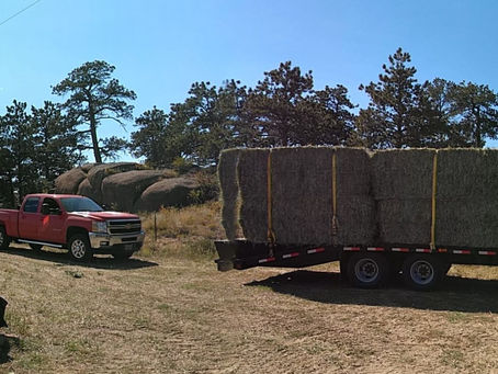 Hay Part 2