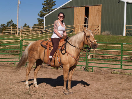 Back In The Saddle!!!