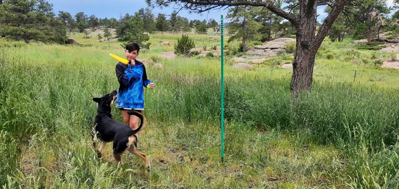 Nana bought a retro Swingball - had to cut the grass  by hand first 