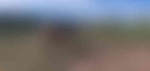 learning more control with legs, neck and butt