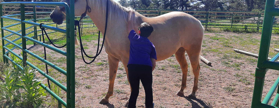 also to appreciate them for the lesson