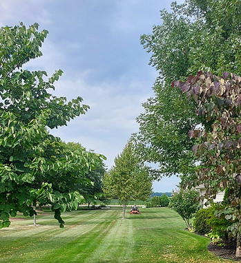 A Erie Horizon Landscaping employee cuts a large commericial property lawn on an orange zero-turn. There is a blue sky with clouds and a trees framing the photo.