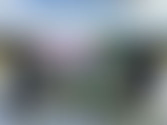 SPD stellt Theatermuschel für den Stadtpark vor – Ist mit Reaktionen auf Konzept zufrieden –