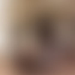 SPD Steinbach besucht Hessischen Landtag