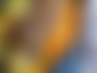 Porcini Mushroom Meatloaf