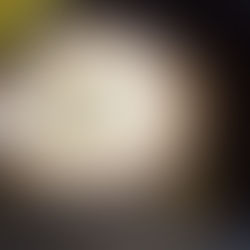 Zitronen Thymian Tarte