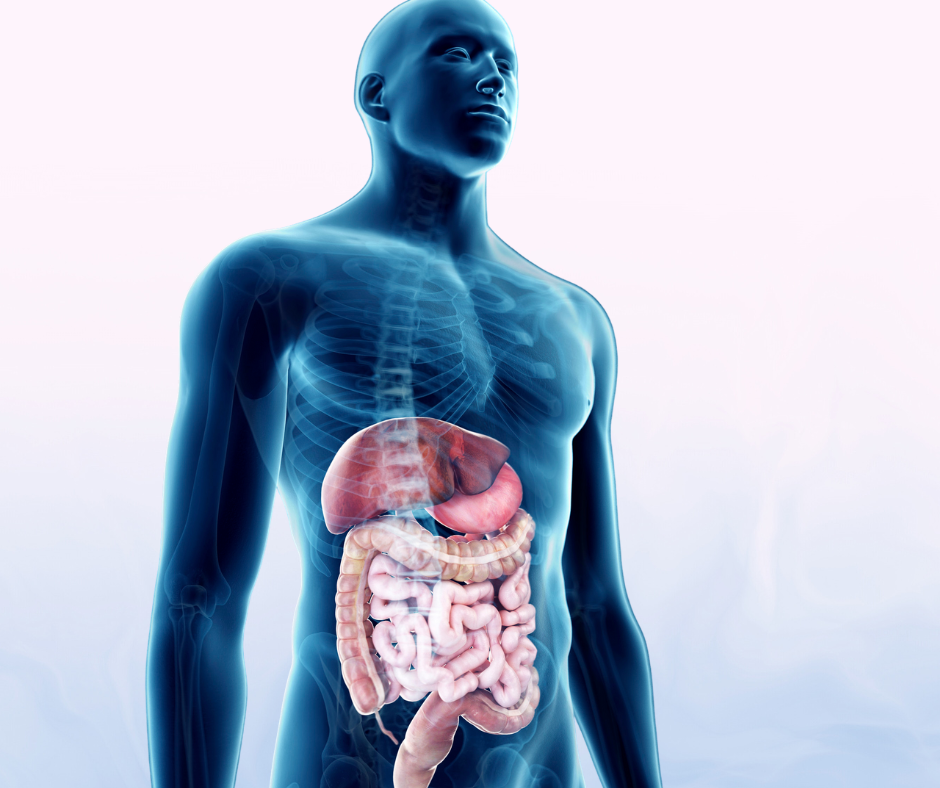 Gut directed hypnosis diagram