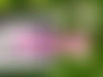 Hypnotherapy Fertility Course: How the Mind-Body Connection Can Support Fertility