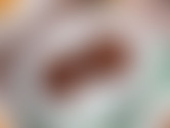 for the love of shami kebab