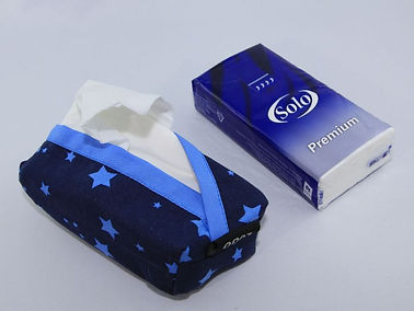 05f_t1_blaustern.jpg