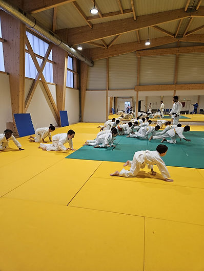 fd25ff10-59e8-4ed6-aa33-2cbb2a76cce6.JPG