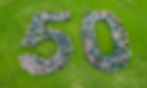 Drone Aerial Photograph - School Group 50 Shape