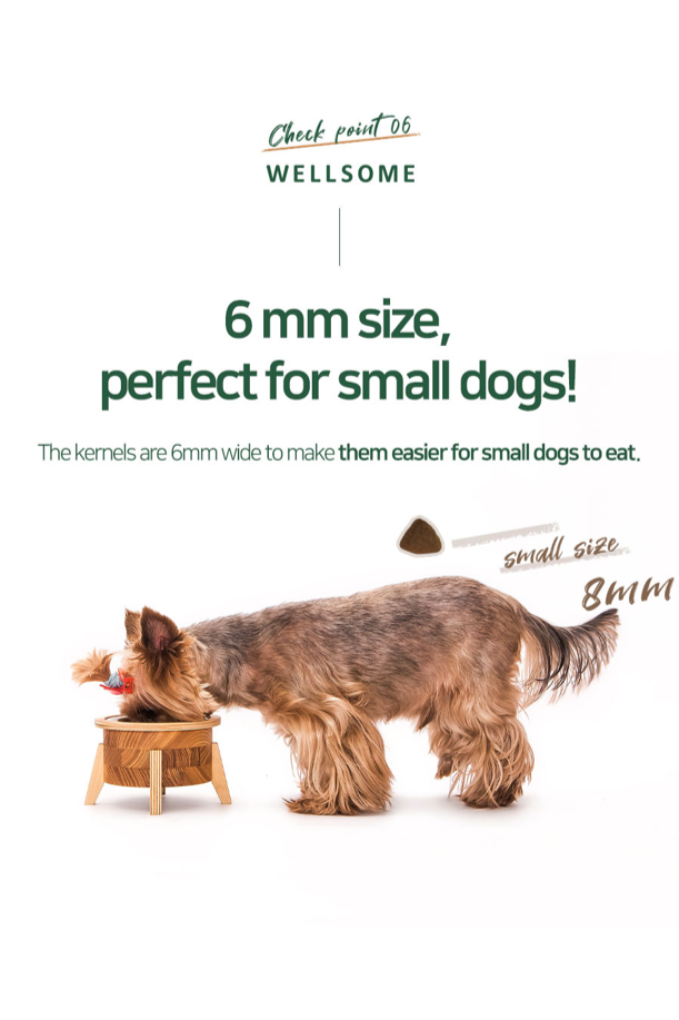 Thumbnail: Insect-Based Dog Food