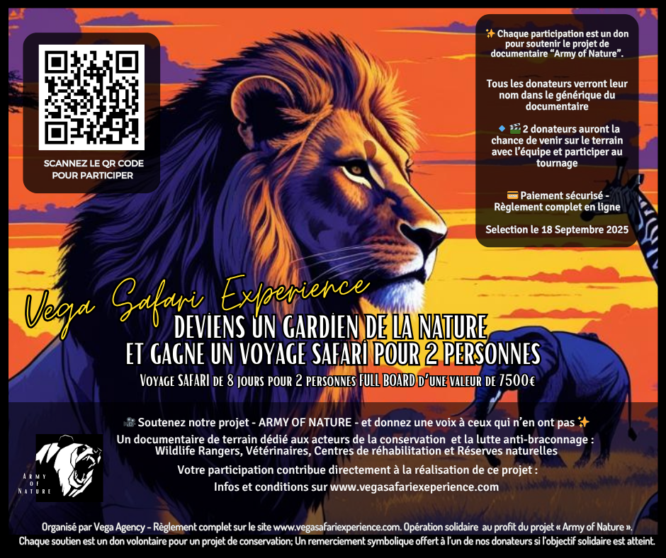 🌍 Deviens un Gardien de la Nature et vis une aventure Safari de Rêve en Afrique du Sud✨🦁