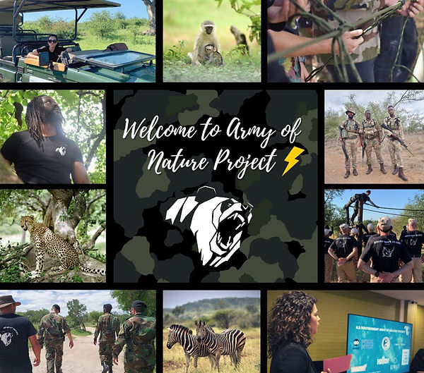 Vega Safari Experience - Voyages sur mesure - Safari privé - Eco tourisme - Vie sauvage - wildlife - bigfive - Afrique du sud - Mpumalanga - Kruger National Park - Aventure - Expédition - Safari Photo - conservation - Army of Nature