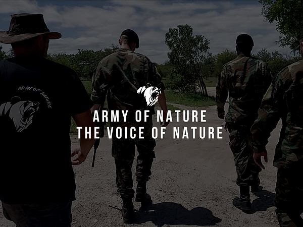 Vega Safari Experience - Voyages sur mesure - Safari privé - Eco tourisme - Vie sauvage - wildlife - bigfive - Afrique du sud - Mpumalanga - Kruger National Park - Aventure - Expédition - Safari Photo - conservation - Army of Nature
