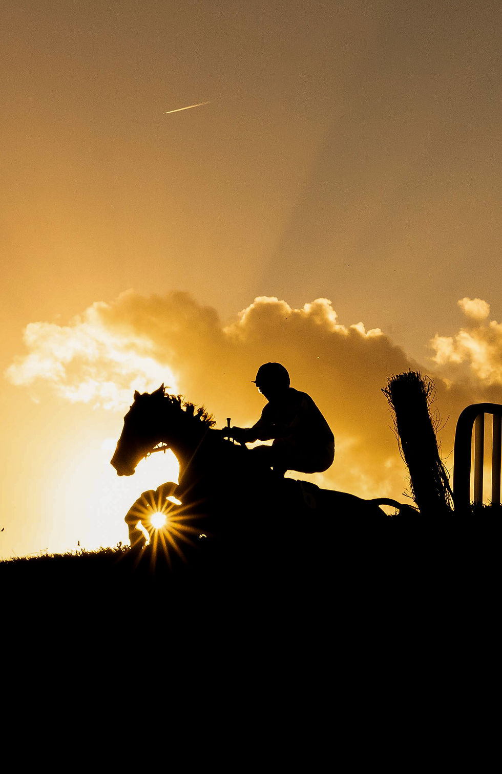 SUN HORSE.jpg
