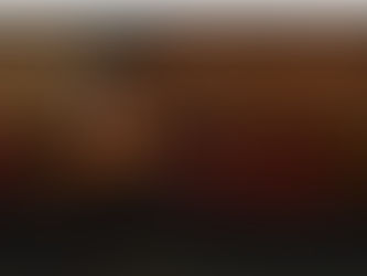 First Steps in the Metaverse