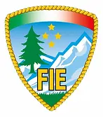 Logo-FIE-standard.webp