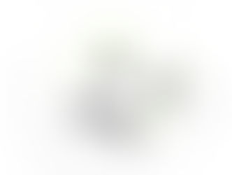 Permission in Principle submitted
