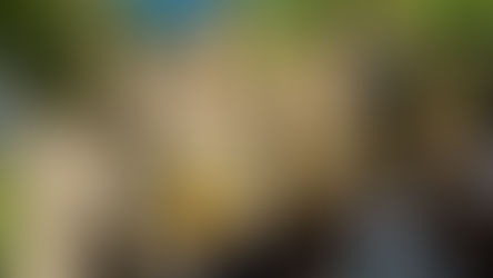 Manifestation #March4Justice