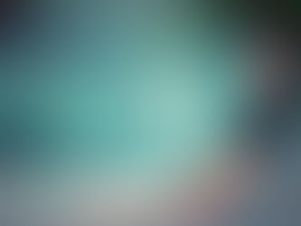 A Novel Commission!!!