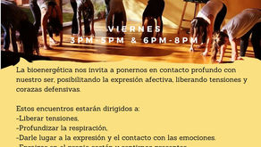 Bioenergética en Costa Rica