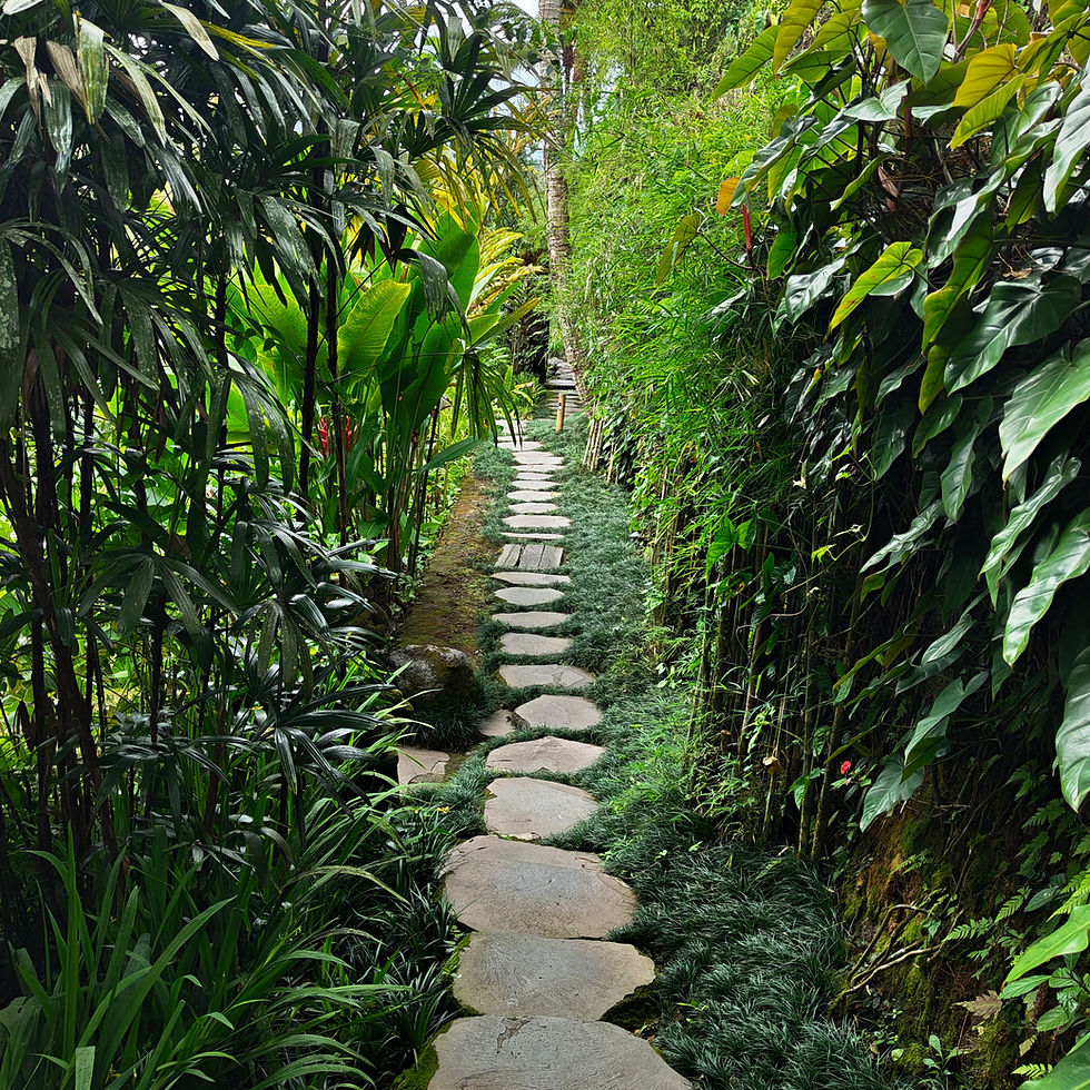 IMG_20241125_112513 (1).jpg