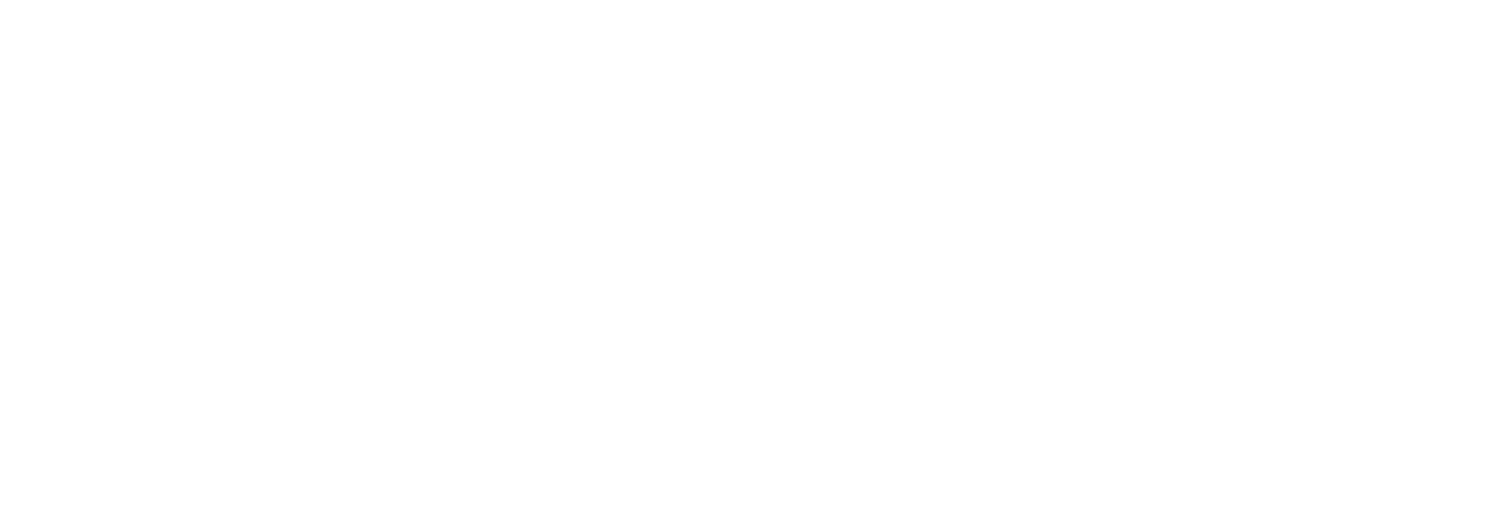 White Logo Perzik 2025.png