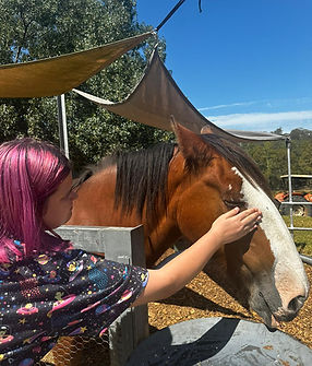 WhatsApp Image 2023-07-19 at 3.55.47 PM.jpeg