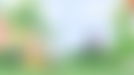 Rag's Adventures - Chapter 5 , The Durrells welcome their new garden visitor.