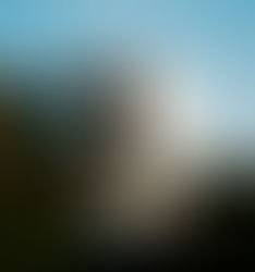 Vos Consultants Blog Branded Residences