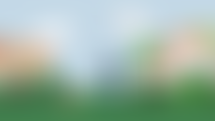 Rag's Adventures - Chapter 3: Rag meets a Hedgehog