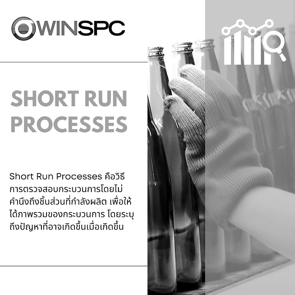 Short Run Process