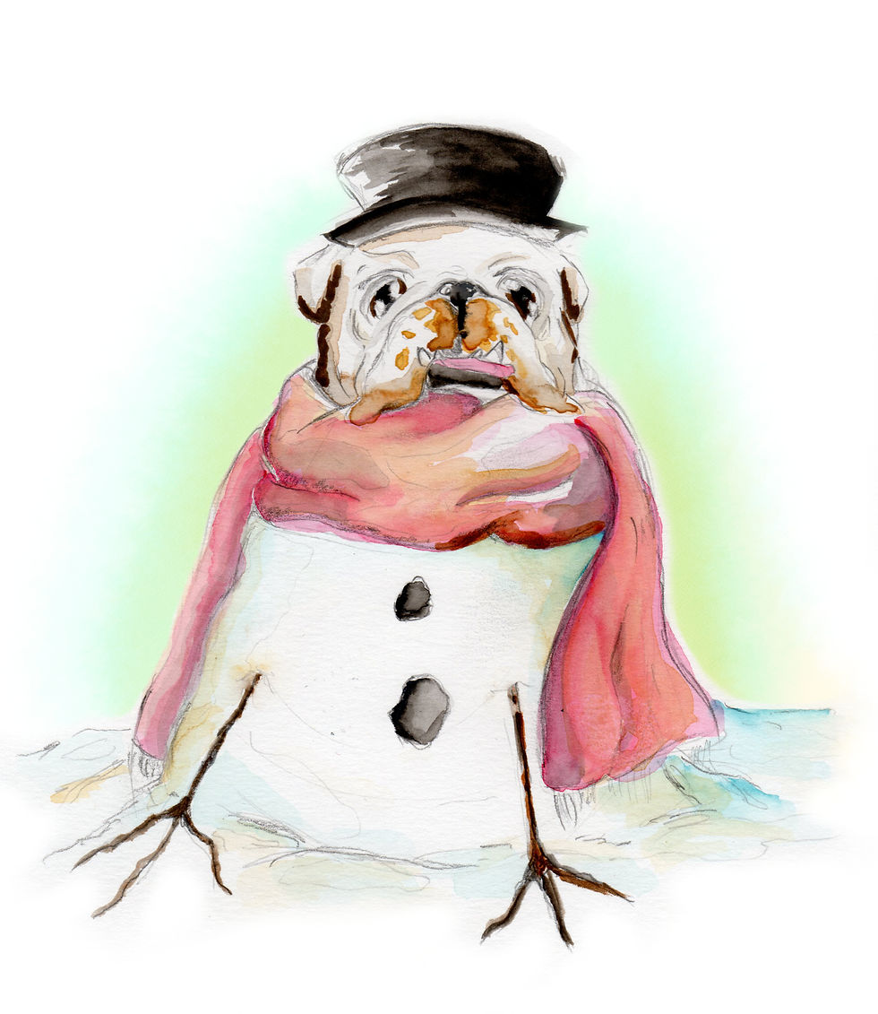 Frosty the Bulldog