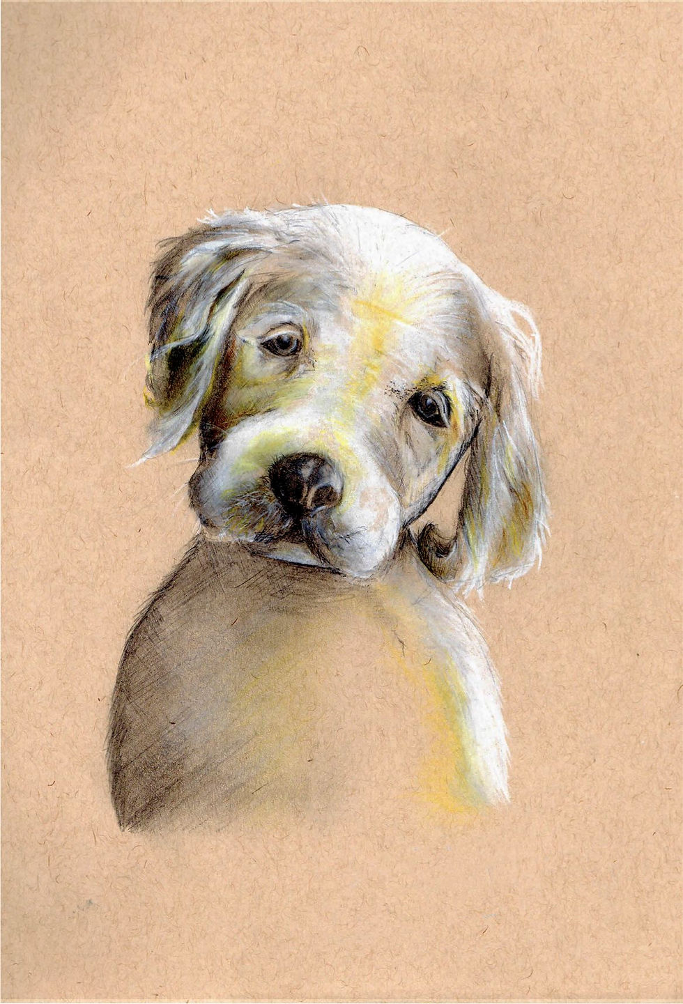 Puppy Eyes