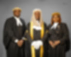 Family of Lawyers