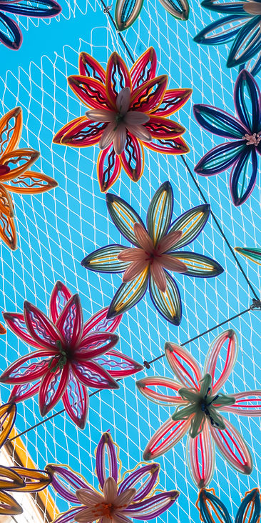 DSC08530_edited.jpg