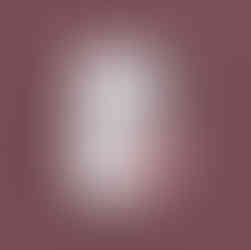 2024 LG annual report