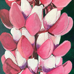 Pink and white lupin painting
