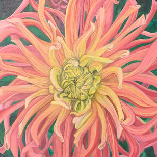 Peach/orange and yellow Dahlia flower